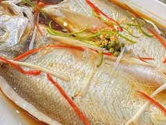-丹水桥地锅鱼·翘嘴鲌·地方特色全鱼宴(丹江口大坝店)