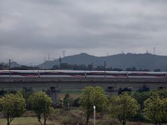 -光明小镇欢乐田园
