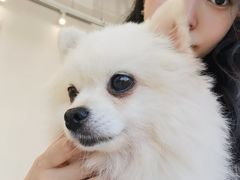 -怪兽屋·羊驼·猫咖·狗咖(俊华广场店)