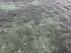 -金巴兰海滩烛光bbq