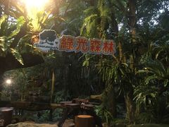 -绿光森林餐厅