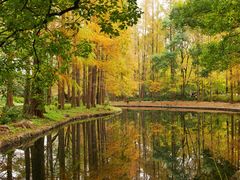 -上海共青森林公园