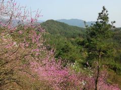 -天台山赤城山景区
