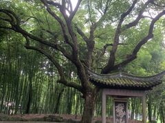 -兰亭风景区