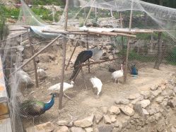-童心园麦窑·儿童拓展探宝乐园