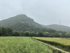 -八卦田遗址公园