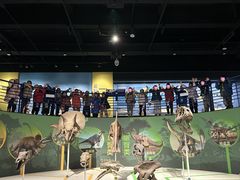 -国家自然博物馆