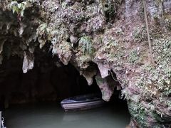 景点-怀托摩萤火虫洞