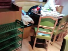-季季红火锅(动壹店)