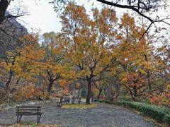 -北京鹫峰国家森林公园