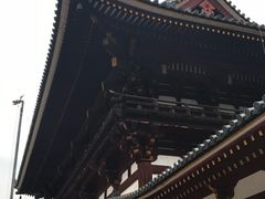 -奈良公园