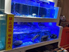 -王捌小院(红花坡店)