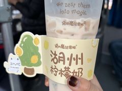-猫的魔法密林(衣裳街店)