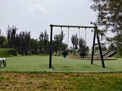 -爪吧宠物乐园 (温榆河示范区店)