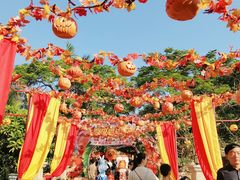 -灵玲国际马戏城