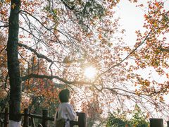 -广州市石门国家森林公园