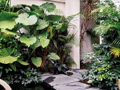 -漫笙舍Manse·咖啡·民宿