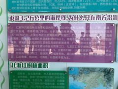 -北海金海湾红树林生态旅游区