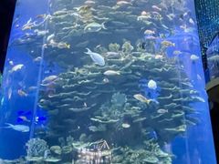 -泉城欧乐堡海洋极地世界