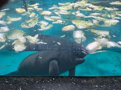 -泉城欧乐堡海洋极地世界