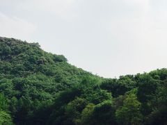 -白马涧龙池景区