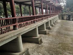 -温江公园
