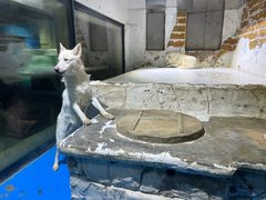 -大连圣亚海洋世界