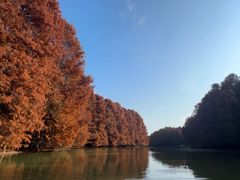 -上海海湾国家森林公园