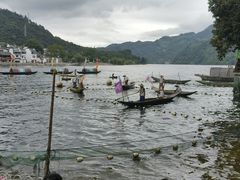 -新安江山水画廊风景区