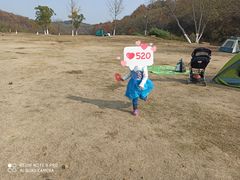 -羊山湖公园
