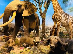 -陕西自然博物馆