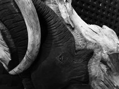 -Helens海伦司小酒馆(王家湾人信汇店)