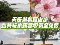 -北湖公园