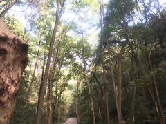 -杭州林泉山庄