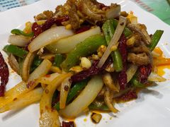 -柴窝堡辣子鸡(文艺路店)