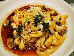 -双井轩(双井店)