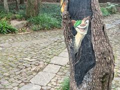 -灵谷景区