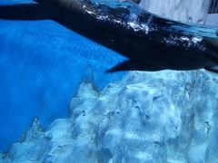 -多彩贵州城极地海洋世界