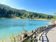 -武陵山森林公园