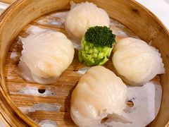 -悦景酒家(罗湖店)