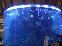 -OPEN開全日自助餐厅·牛肉火锅·海鲜(佛山希尔顿酒店)