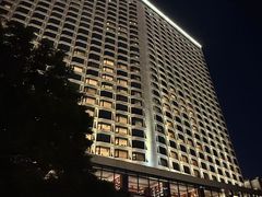 -广州白天鹅宾馆