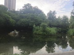 -成都市活水公园
