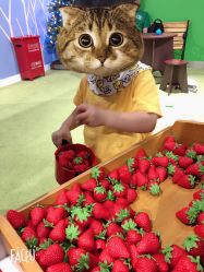 -幻贝家儿童乐园(苏州中心店)