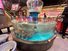 -魏铭鱼头捞饭(晋阳路店)