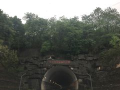-天花井景区