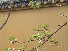 -太平天国侍王府