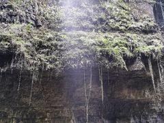 -鹿院坪生态旅游景区