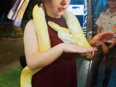 -清迈夜间动物园