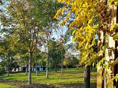 -狼山风景名胜区